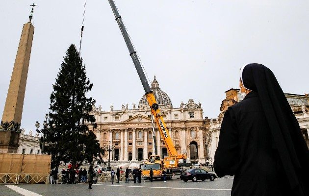 El Vaticano prepara encendido del árbol de Navidad el próximo 10 de diciembre. Foto: EFE
