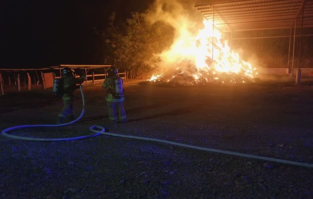 El siniestro ocurrió en el área de Huertas Arriba, en el distrito de Los Santos, en una finca cerca de la toma de agua. Foto: Thays Domínguez
