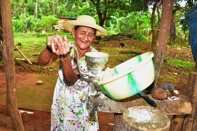 A sus 107 años, Felipa muele maíz, prepara sancochos, asa tortillas, va a misa y hace caminatas. Foto:Cortesía Mides