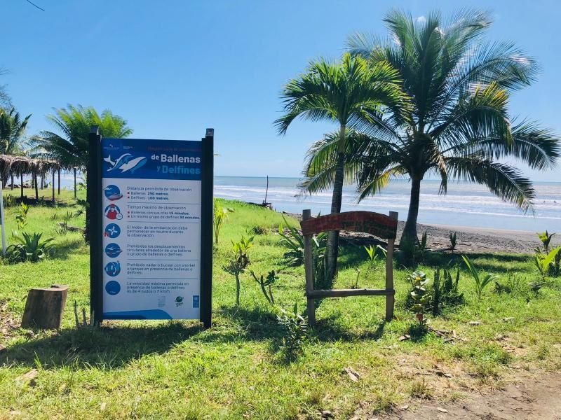 Letrero con la normativa que regula el avistamiento de cetáceos en las aguas jurisdiccionales del país. Foto: Thays Domínguez