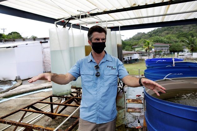David Grossman es el fundador y director ejecutivo de PanaSea. Foto: EFE