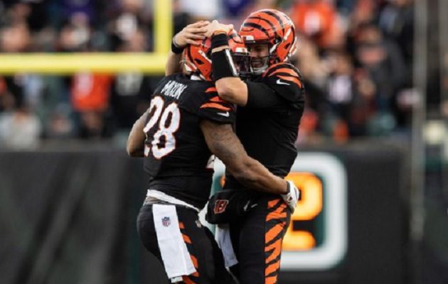Los Bengals atraviesan por una buena racha. Foto: Bengals