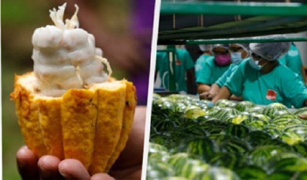 Veintiuno compañías cuentan con el distintivo 'Hecho en Panamá'. Ilustrativa