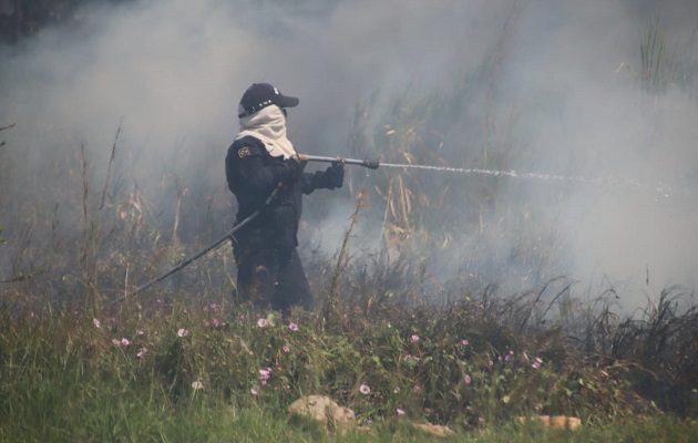 En lo que va de 2022, los bomberos han atendido más de 100 situaciones por incendios de herbazales. Foto: Cortesía Bomberos