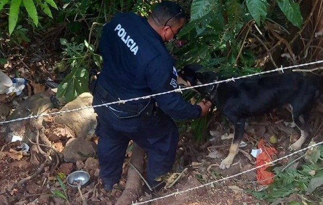 Las faltas como maltrato, abandono, negligencia y lesiones contra los animales implica multas de $500 a $1000 para los propietarios de las mascotas. Foto. Eric Montenegro