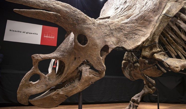 Los científicos sospechan que el dinosaurio sufrió tos, fiebre, dificultad para respirar. 