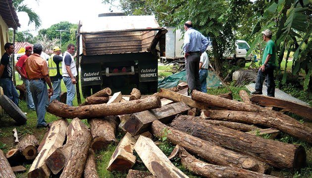 Delitos contra la vida silvestre son los que más se dan en el territorio nacional. Archivo.
