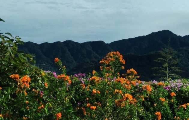 Los turistas prefieren hacer turismos en áreas abiertas y Chiriquí tiene muchas oportunidades para este tipo de actividades. Foto. José Vásquez