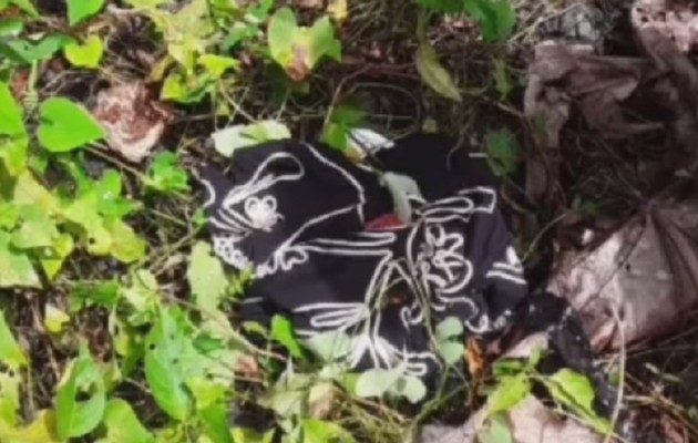 La criatura estaba dentro de una bolsa negra. Foto: Diomedes Sánchez