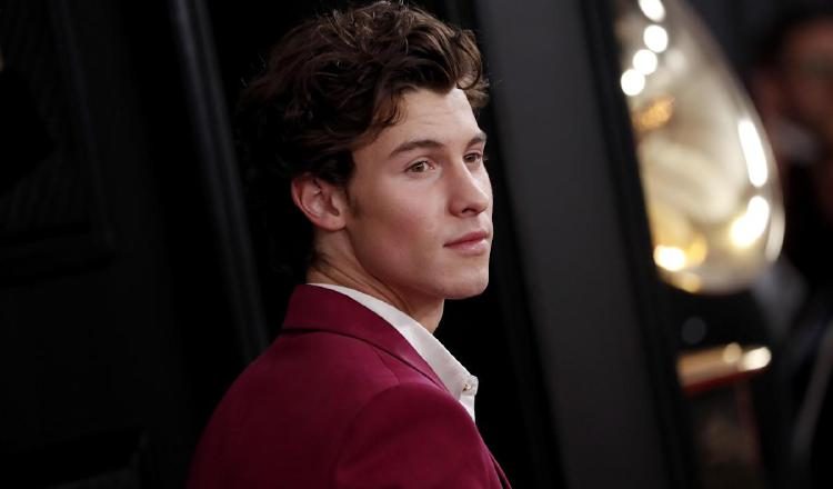 Shawn Mendes. Instagram