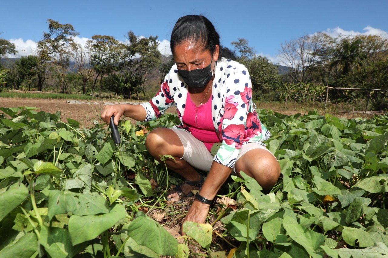 Aurelina Ortiz durante sus faenas en la parcela. Foto: Mides