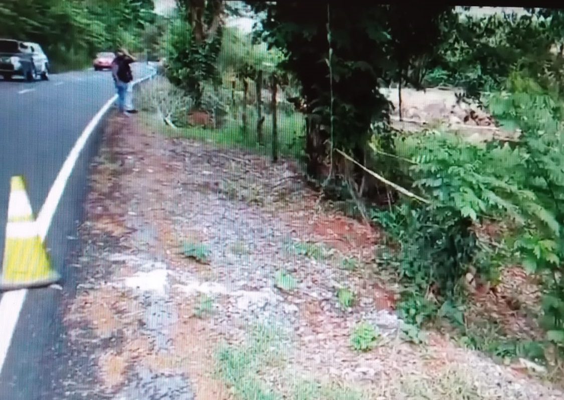 La osamenta estaba en la vía principal en el sector  de San Carlos. Foto: Mayra Madrid 