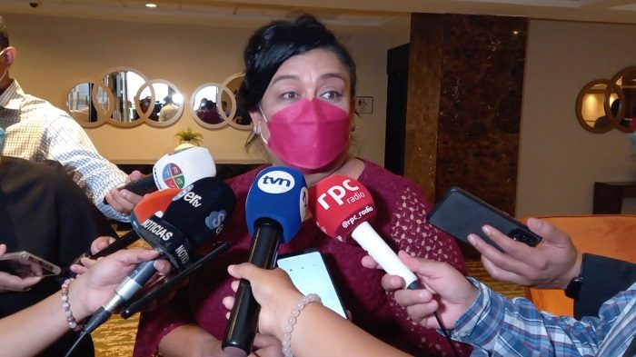 Carmen Aparicio, directora nacional de Educación Ambiental, del Ministerio de Educación. Foto: Víctor Arosemena