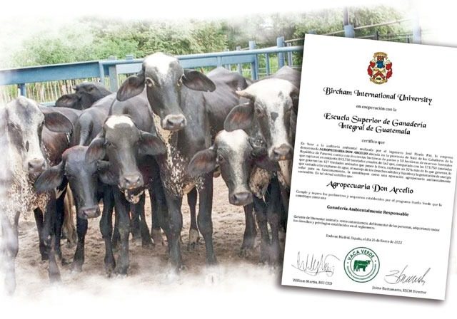 El sello "Vaca Verde" certifica a Agropecuaria Don Arcelio como una empresa lechera ambientalmente responsable.