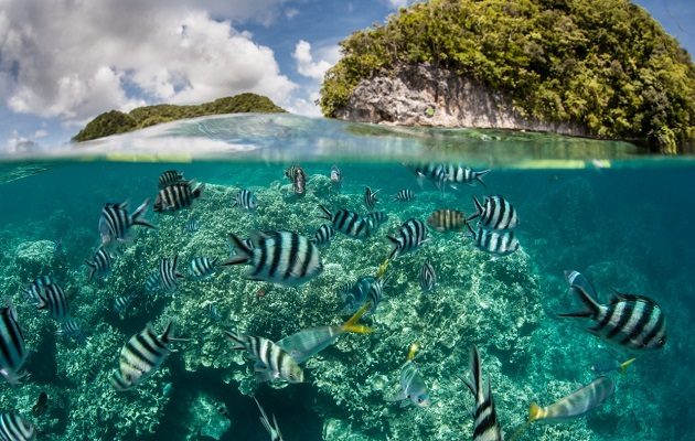 El 8 de junio es el Día Mundial de los Océanos. Foto: Cortesía PNUD