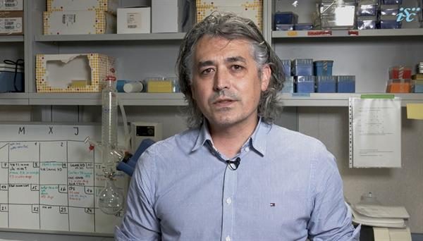 Equipo internacional de científicos desarrolló el test.