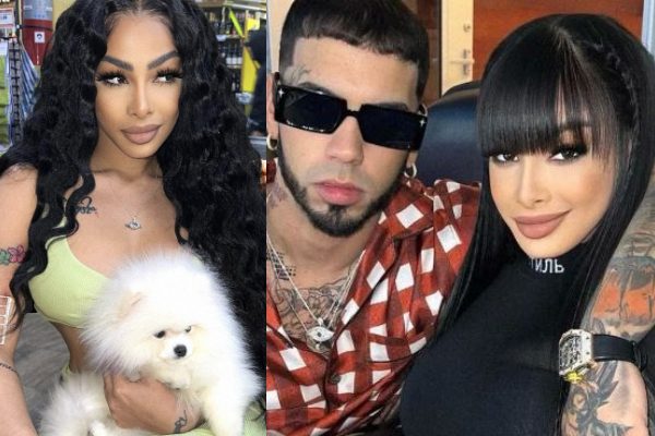 Yailin 'La más viral' recibió la mascota en su cumpleaños. Fotos: Twitter