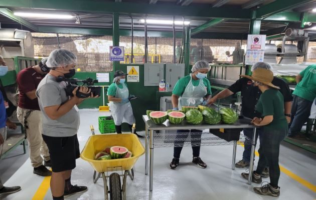 La cifra representa un incremento en las agroexportaciones de $14,4 millones, en comparación al mismo periodo al año 2021. Foto: Cortesía Mida