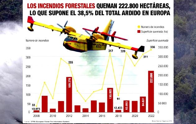 España se enfrenta a la peor ola de incendios. Foto: EFE