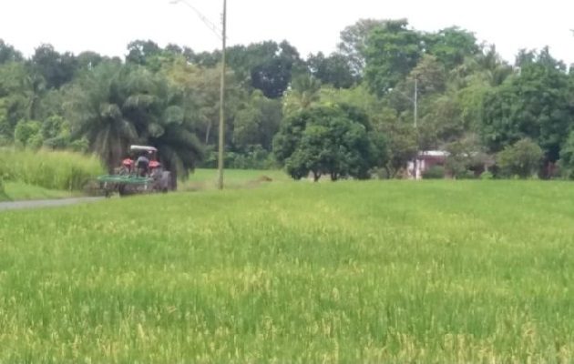 El dirigente calificó como delicada la situación del sector agropecuario, en especial debido a que el estado tendrá que compensar al productor para hacer frente a los costos de producción. Foto. José Vásquez
