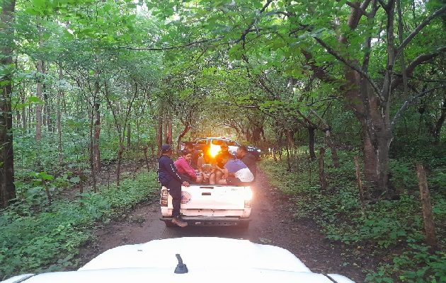 Las operaciones de rescate culminaron cerca de las 7:00 de la mañana del domingo, luego de dos horas de camino que tomó el descenso del cerro.