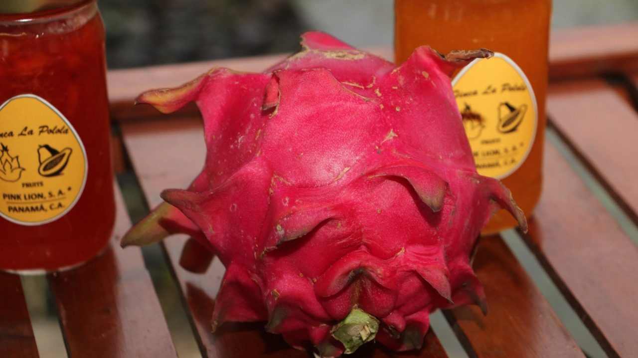 Combate enfermedades cardiovasculares, ya que sus semillas contiene ácidos grasos esenciales como el omega-3. 6. Foto: Cortesía Mida