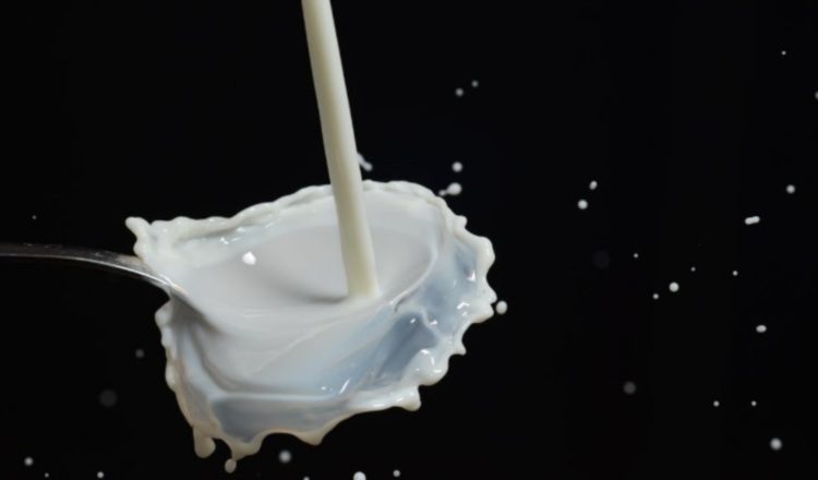 Fuente de calcio y vitamina D. Foto: Pexels