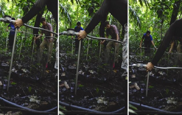 El sistema de calefacción subterráneo está instalado en las parcelas forestales en Isla Barro Colorado. Foto: Smithsonian
