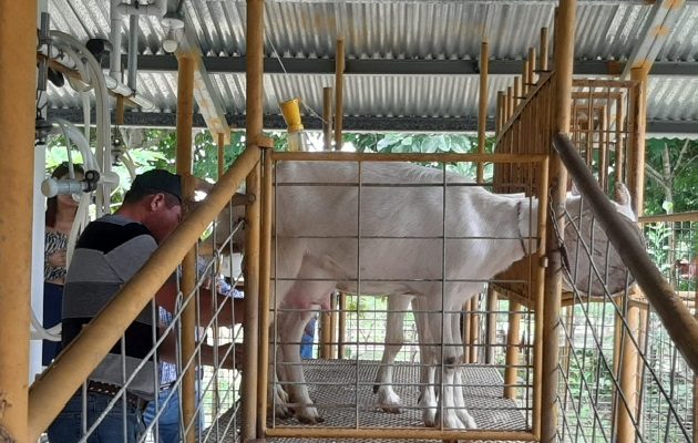 Las fincas agroturísticas en la región toman cada vez más auge, con más productores interesados en sacar mayor provecho a sus tierras. Foto. Thays Domínguez