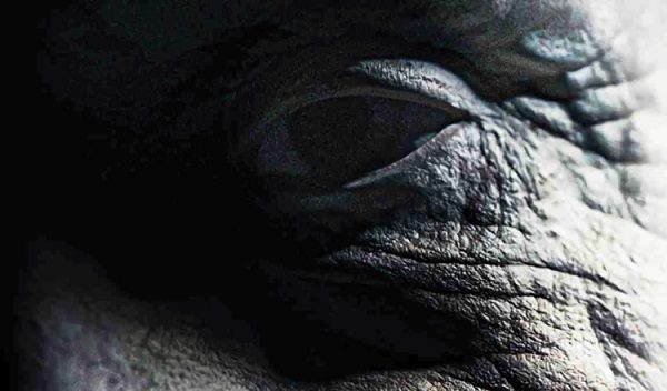 'Los ancianos' se estrenará este mes. Foto: Netflix