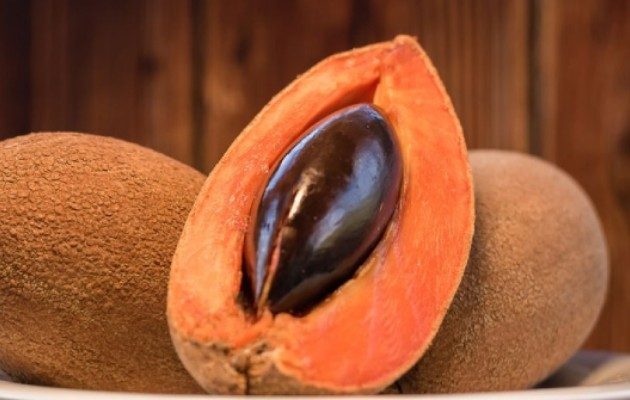 Carotenoides del Mamey: su química y actividad biológica contra la enfermedad de Alzheimer, fue presentado por investigadores del Indicasat AIP. Foto: Cortesía