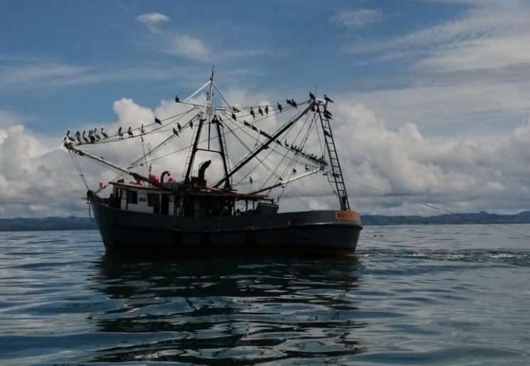 El capitán de la embarcación pesquera aceptó la infracción. Foto: Cortesía ARAP