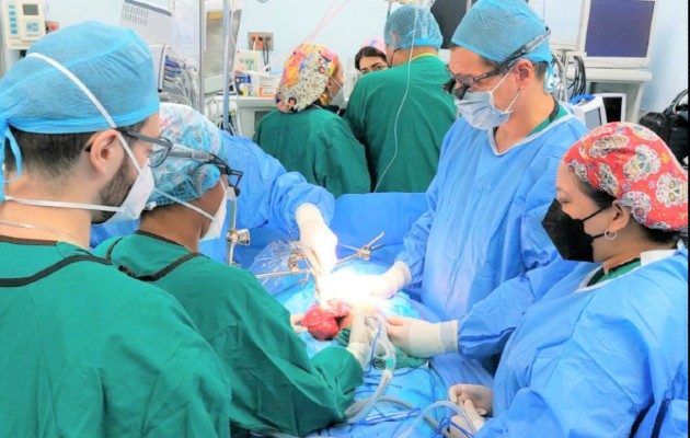 El cáncer hepático es un tumor agresivo que la mayoría de las veces se origina sobre un hígado enfermo. Foto: Cortesía