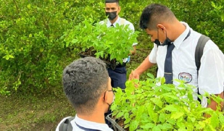 El programa Graduandos en Pro de la Reforestación en Panamá, forma parte de una serie de iniciativas legales que promueven la mitigación del Cambio Climático. Cortesía