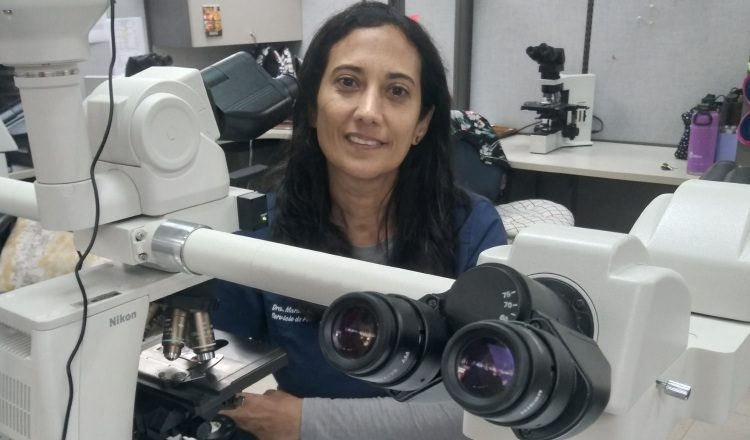La patóloga e investigadora, Marina Pacheco, lidera en el Complejo Hospitalario Dr, Arnulfo Arias Madris  en Panamá el estudio observacional de sarcoma de SELNET. Cortesía