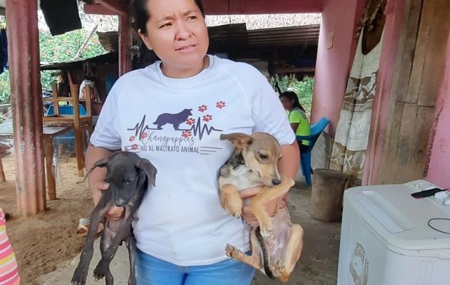 Juliette Chang durante las jornadas de ayuda a los perros del campo. Foto: Cortesía