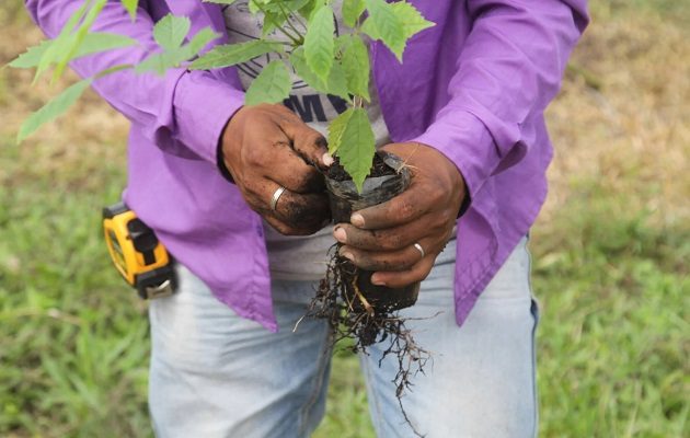 Minera Panamá impulsa variados proyectos en las zonas aledañas. Foto: Cortesía