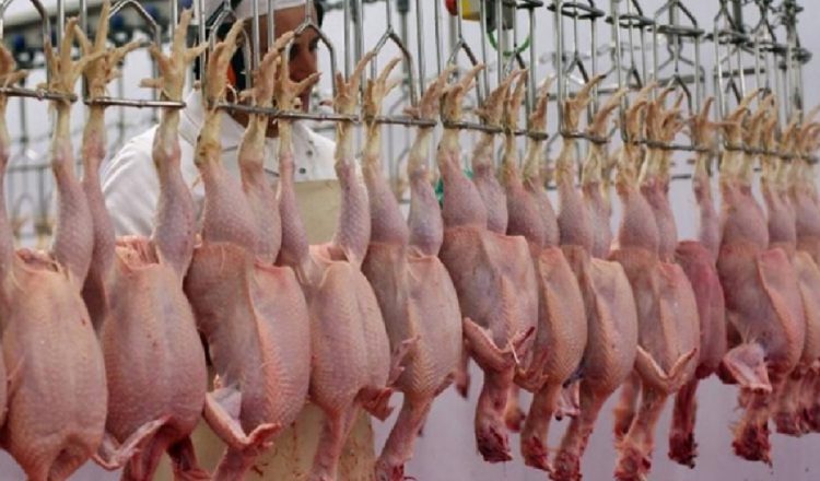 Las proyecciones internacionales indican que el consumo de pollo podría aumentar a nivel mundial.