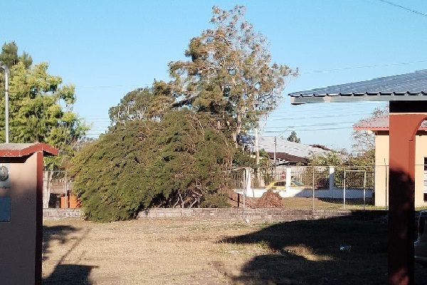 Los fuertes vientos en Tierras Altas, David, Pedregal, las Lomas, Boquete, Dolega, Aserrío, Bugaba y Gualaca. Foto. Mayra Madrid