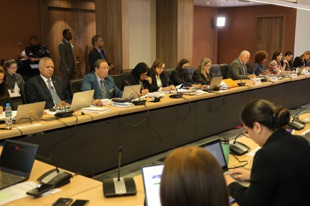 El Comité de Derechos Humanos es el órgano de expertos independientes que supervisa la aplicación del Pacto Internacional de Derechos Civiles y Políticos.