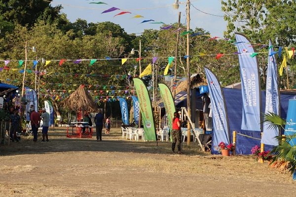 La feria ha tenido un buen auge de visitantes desde su inicio, según sus organizadores, ya que tanto residentes como turistas que llegan al Valle de Tonosí la visitan.