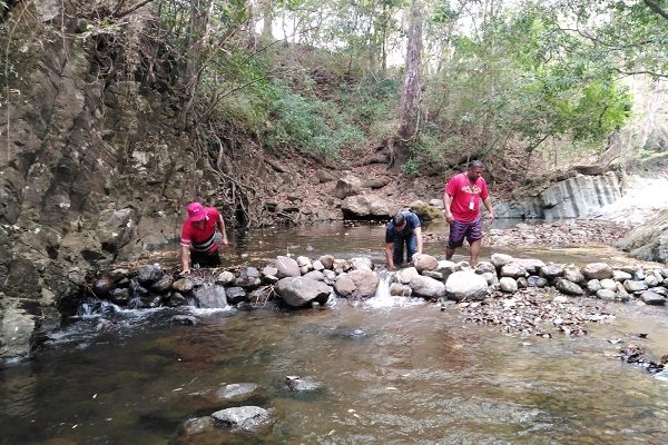 El Municipio de Chame inició un proceso de destrucción de más de 100 mini represas a lo largo del cauce de este río. Foto. Eric Montenegro