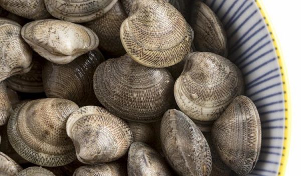Las almejas deben ser frescas.Foto: Ilustrativa / Freepik
