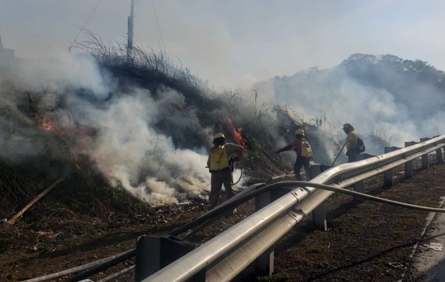 Hay un incremento de 316 casos en comparación con marzo de 2022. Foto: Cortesía Bomberos