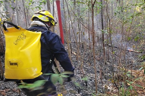 El incendio de masa vegetal, afectó cerca de 200 hectáreas de bosque en La Yeguada. Foto. Cuerpo de Bomberos.