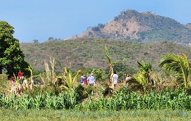El camino de Santiago de Natá promueve el agroturismo. Foto: Cortesía
