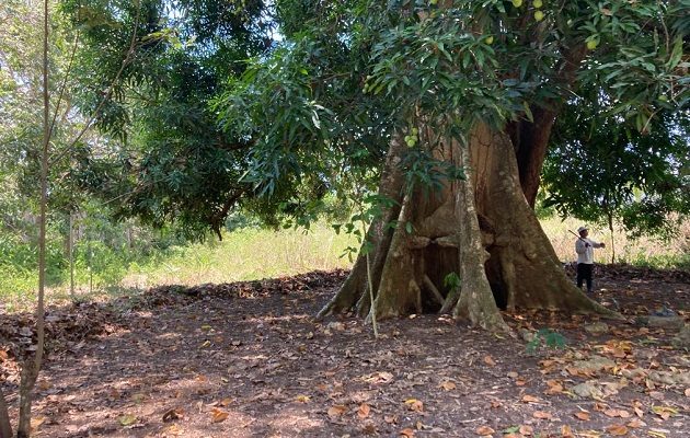 En la  feria usted podrá estar en contacto con la naturaleza. Foto: Cortesía