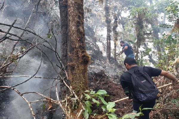 Este incendio ha causado graves daños al ecosistema, oficialmente se desconoce el total de hectáreas afectadas. Foto. José Vásquez