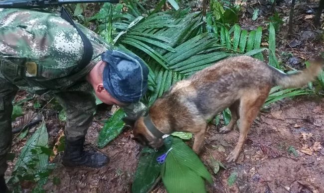 Fotografía que muestra al canino Ulises y comandos de fuerzas especiales que hallaron el que sería un refugio construido de manera improvisada. Foto: EFE