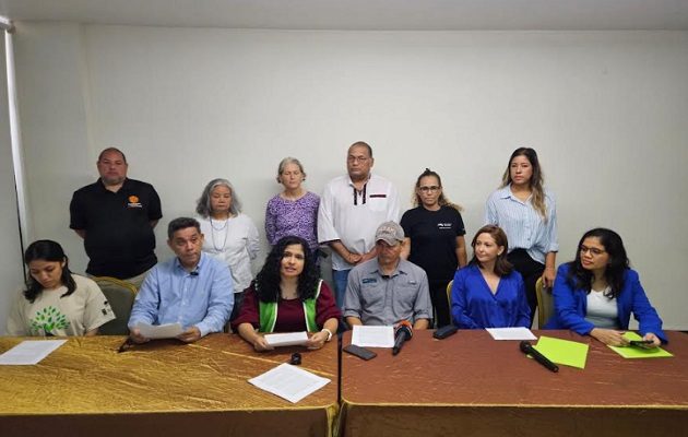 Los ambientalistas realizaron este lunes una conferencia de prensa. Foto: Cortesía